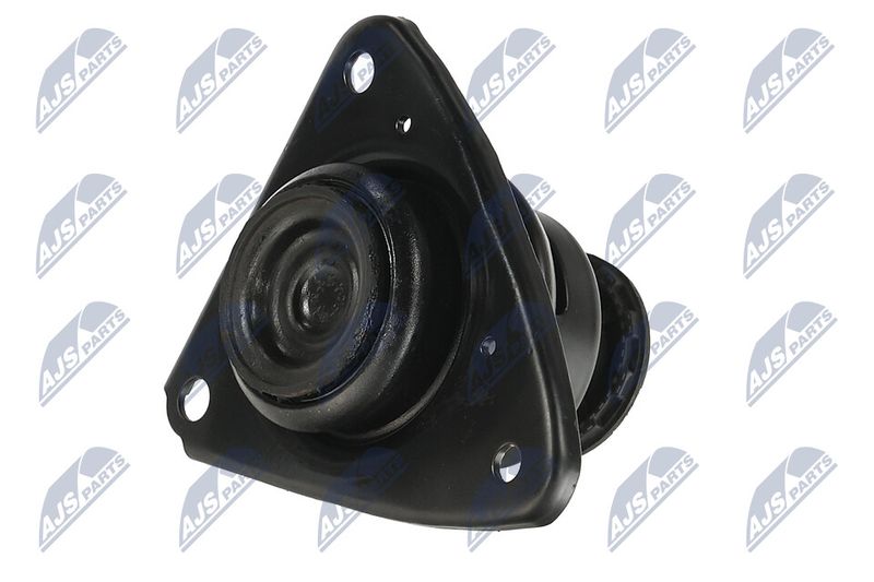 Paigutus, Mootor, NTY ZPS-KA-306