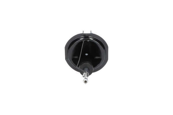 Kavo Parts SSA-10149 Shock Absorber