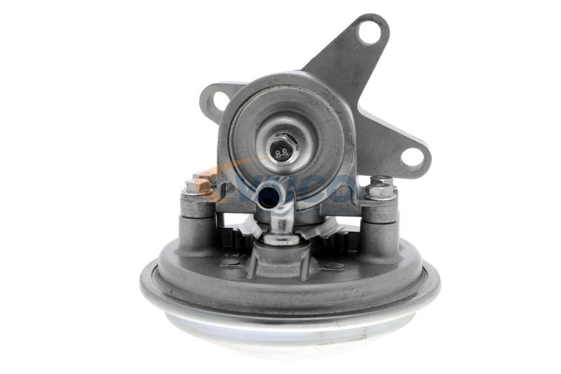 VAICO V25-1908 Mounting, engine