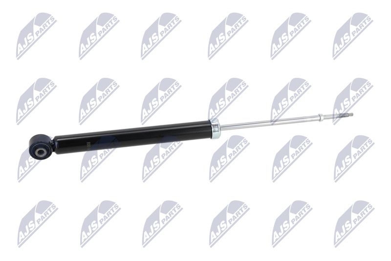 Amort, NTY A-NS-046