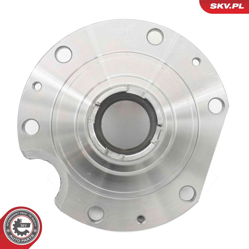 ESEN SKV 29SKV569 Wheel Bearing Kit