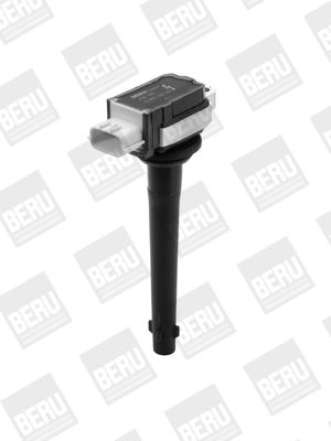 BorgWarner (BERU) ZSE161 Ignition Coil