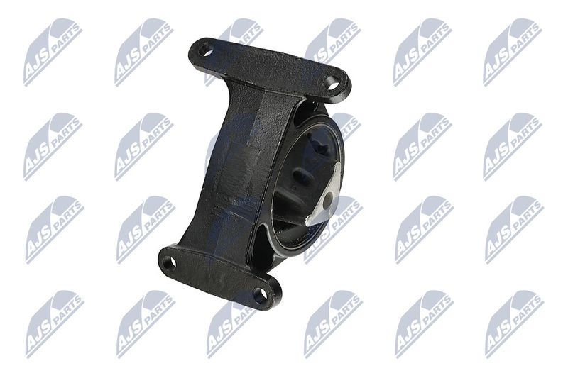 Paigutus, Mootor, NTY ZPS-CH-006