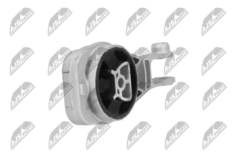 Paigutus, Mootor, NTY ZPS-PL-080