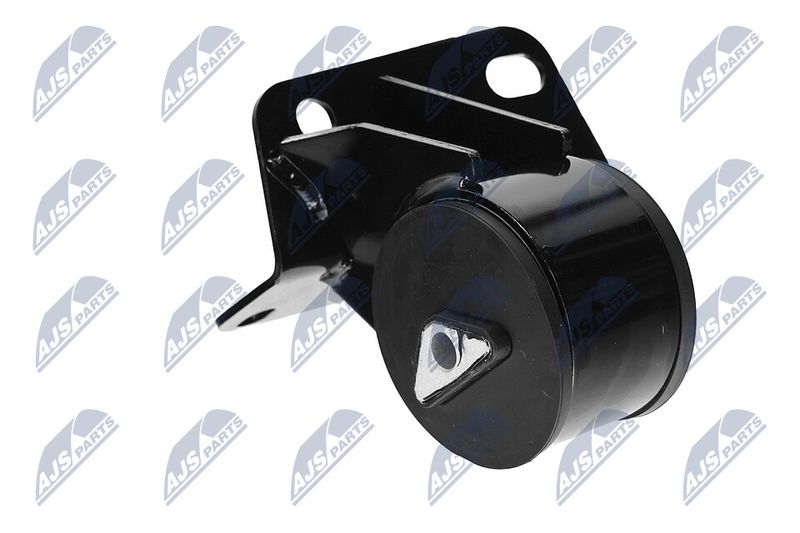 Paigutus, Mootor, NTY ZPS-CH-036