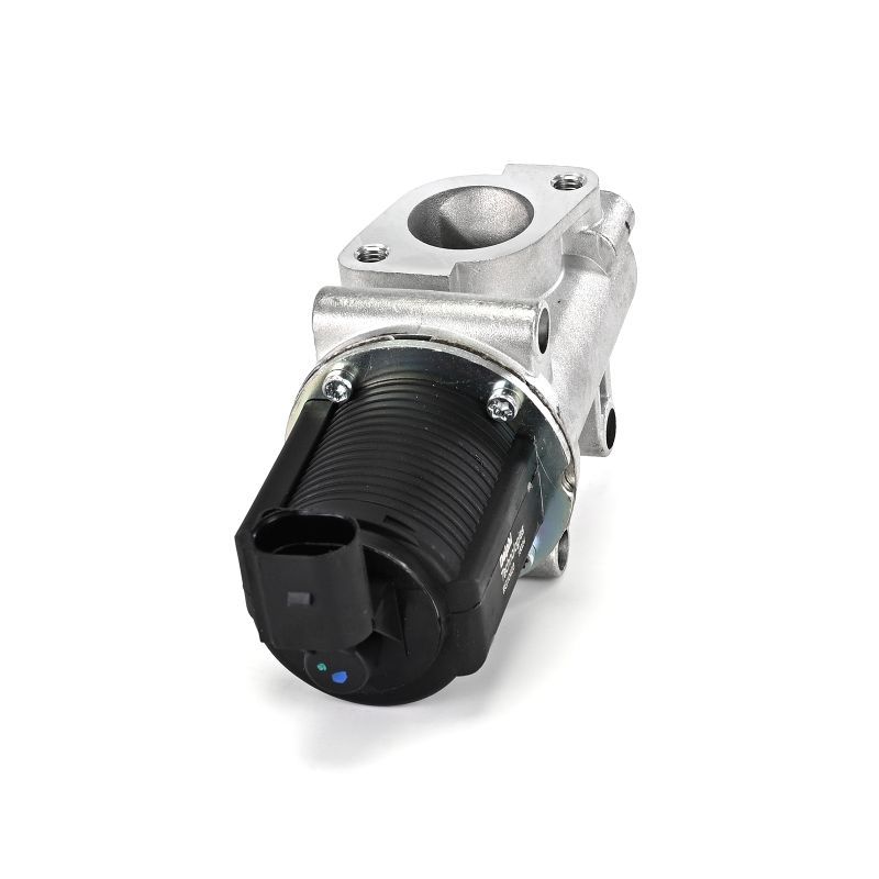 AGR-Ventil EG10403-12B1