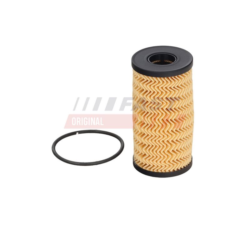 Õlifilter, FAST FT38095