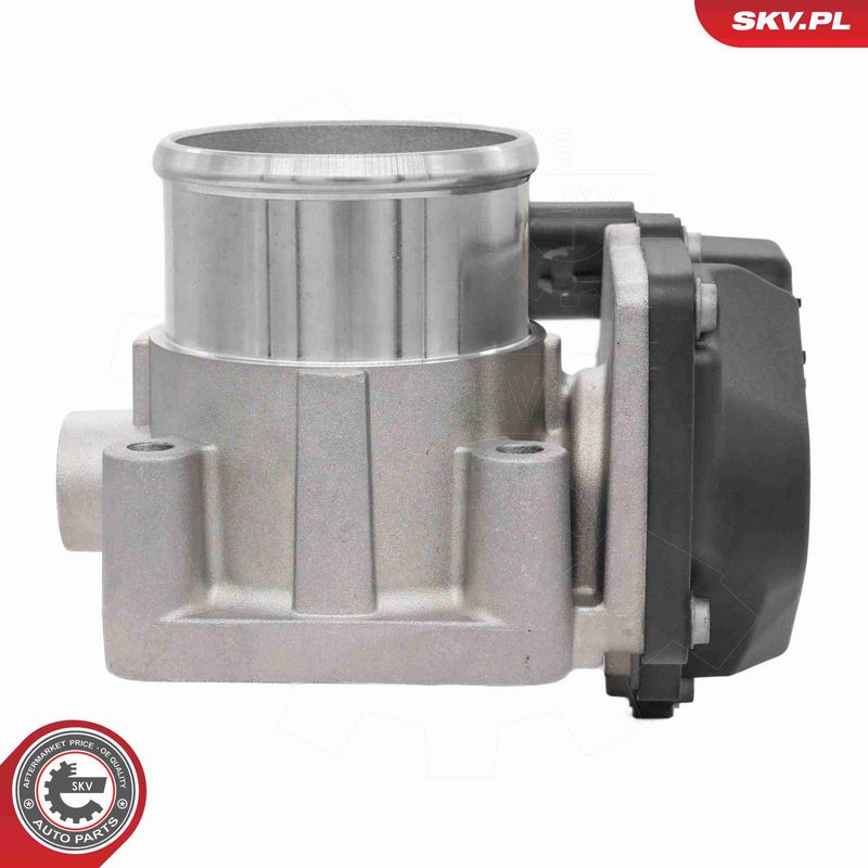 ESEN SKV 12SKV139 Throttle Body