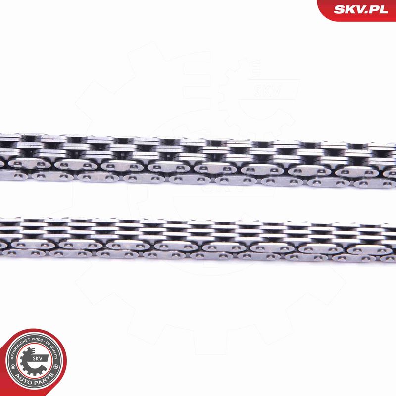 ESEN SKV 21SKV242 Timing Chain Kit