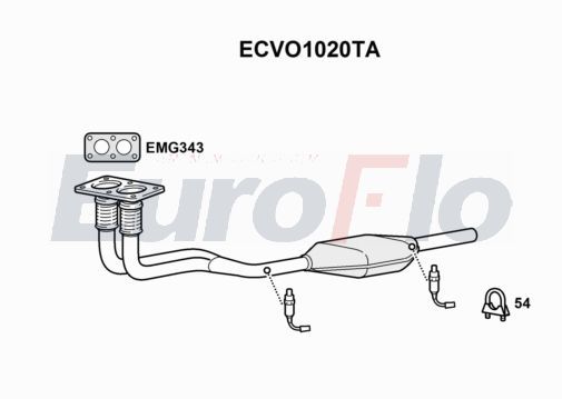ecvo1020ta.JPG