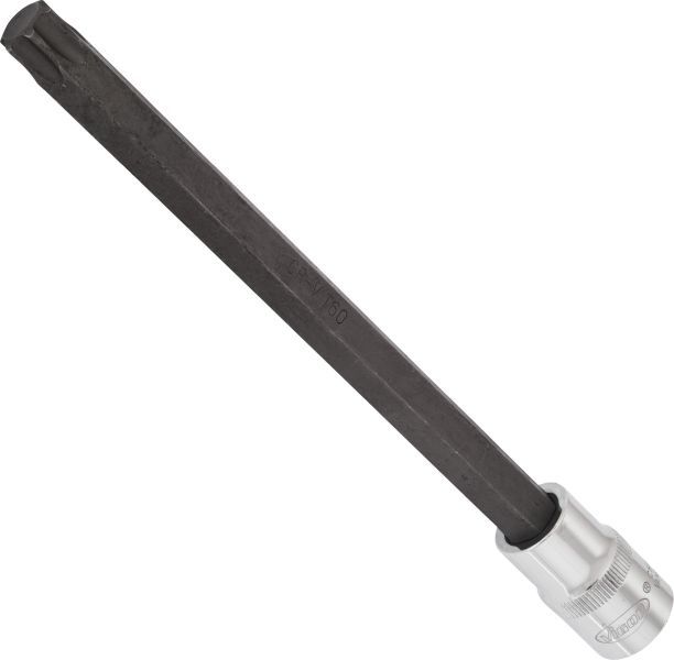 Padrun, VIGOR V2183