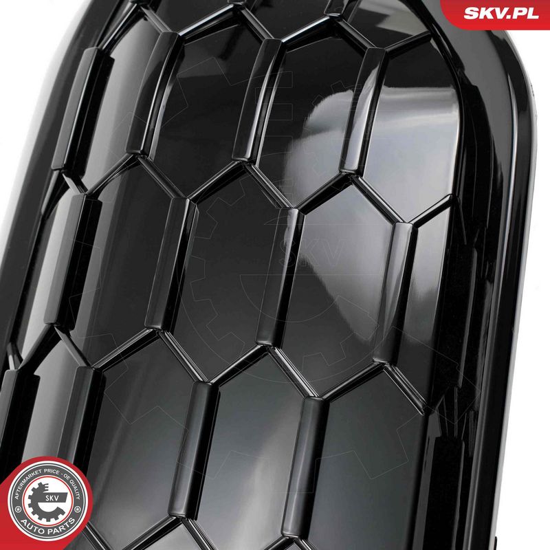 Radiaatorivõre, ESEN SKV 66SKV317