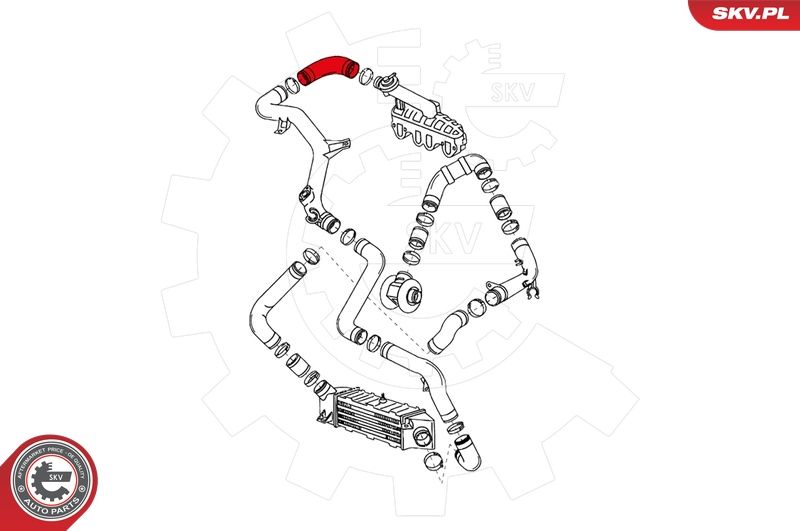 Шланг подачі наддувального повітря, Skv Germany 24SKV086