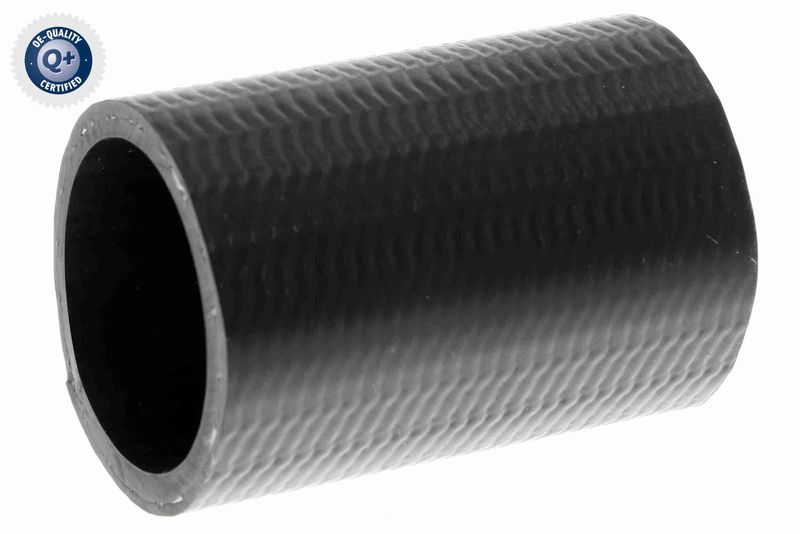 V38-9599_02.JPG