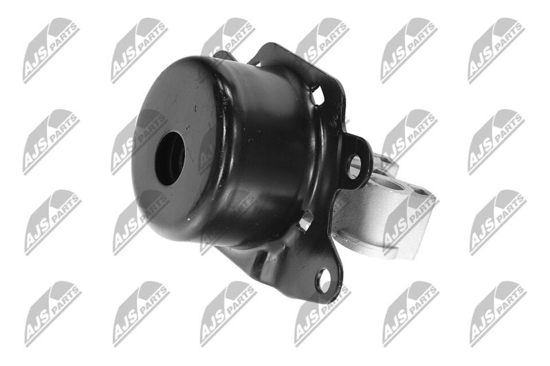Paigutus, Mootor, NTY ZPS-PL-053