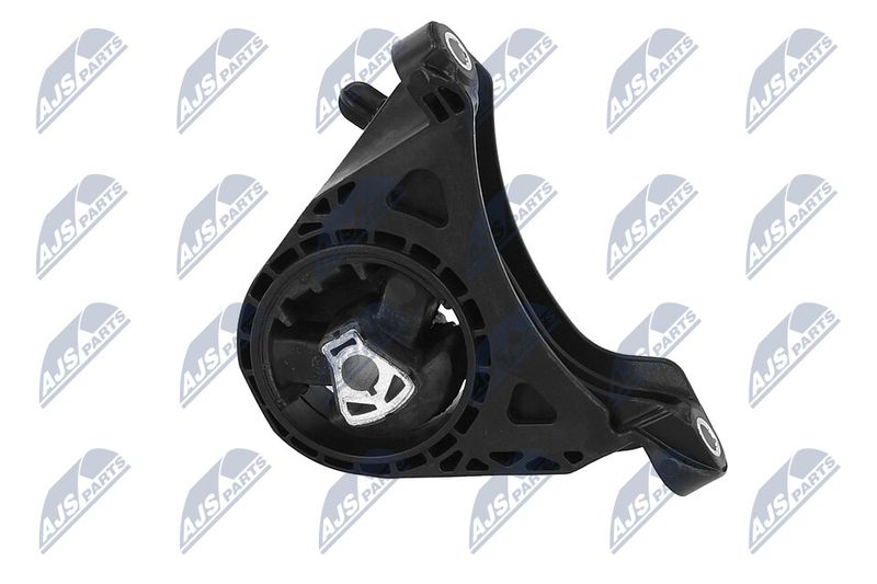 Paigutus, Mootor, NTY ZPS-PL-011