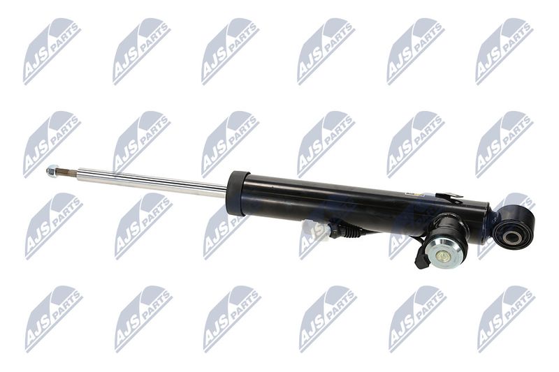 Amort, NTY A-PL-066