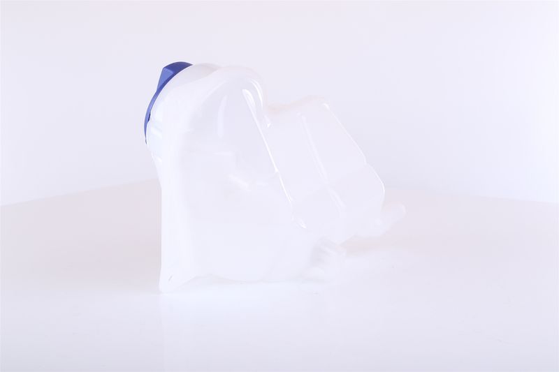 Image 19