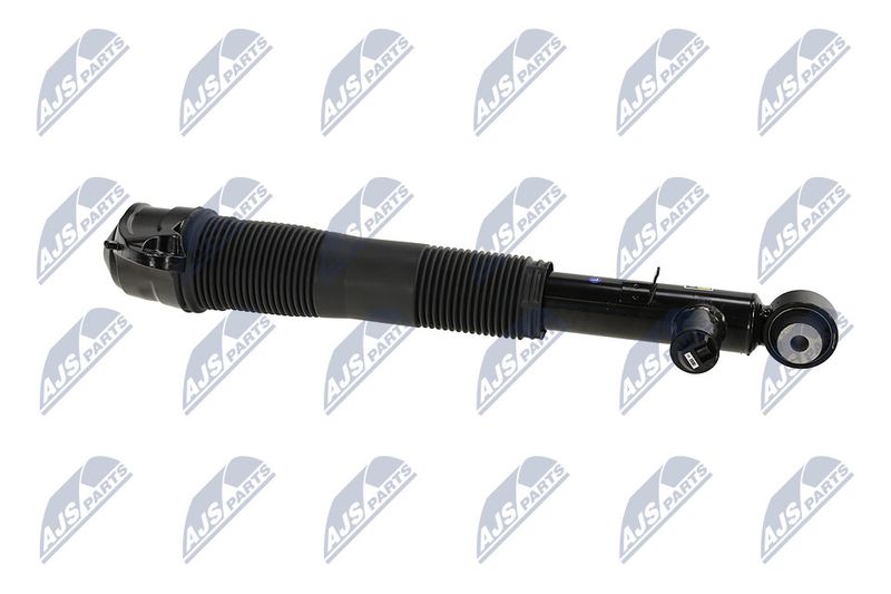 Amort, NTY A-LR-036