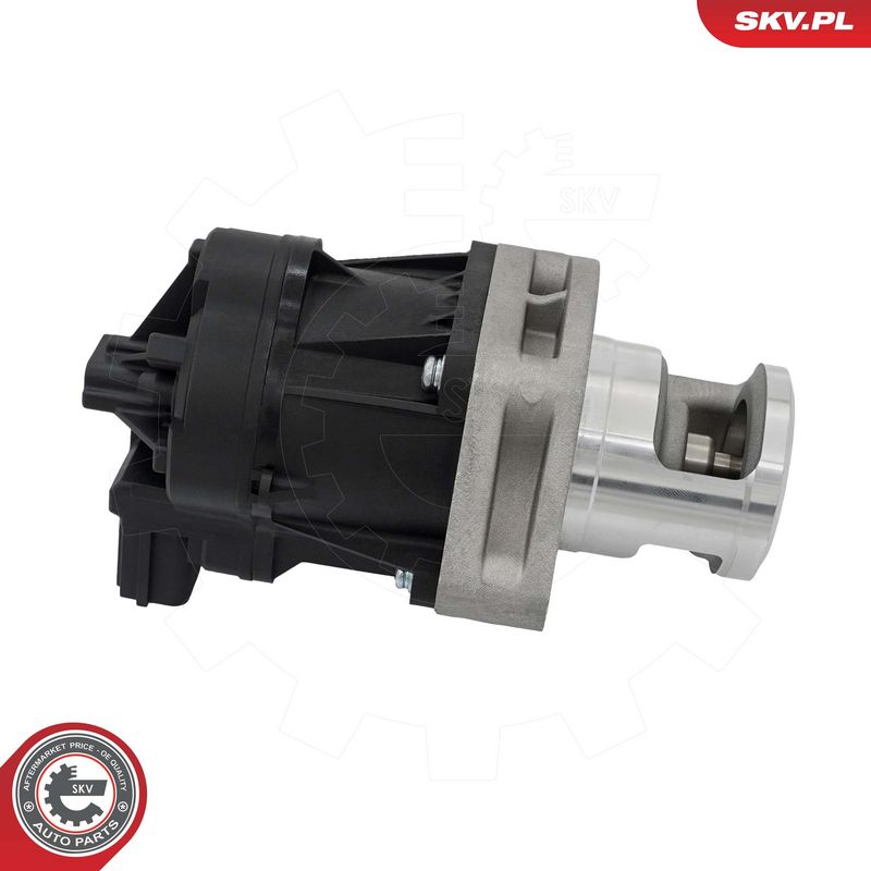 EGR-klapp, ESEN SKV 14SKV302