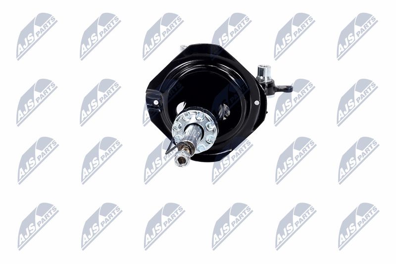 Amort, NTY A-NS-015