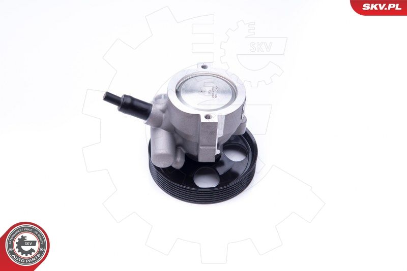 ESEN SKV 10SKV281 Hydraulic Pump, steering