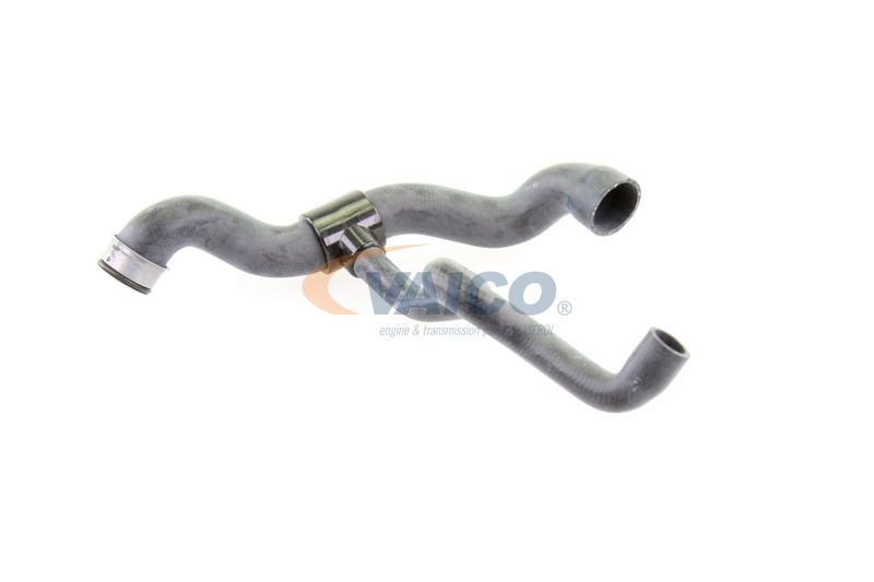 VAICO V30-1660 Radiator Hose