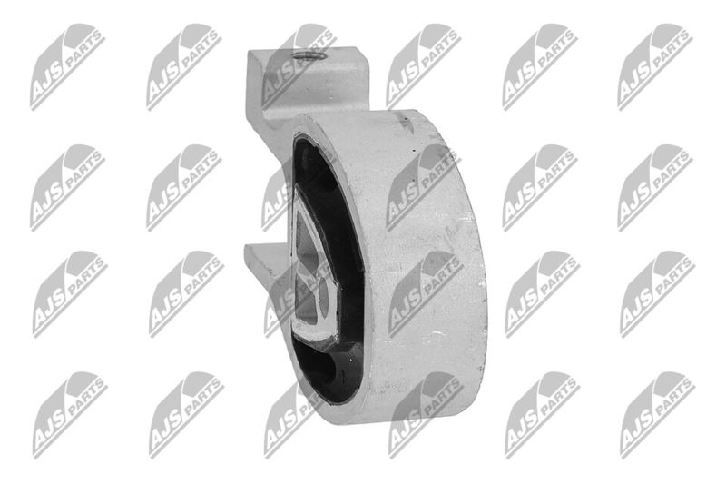 Paigutus, Mootor, NTY ZPS-FR-038