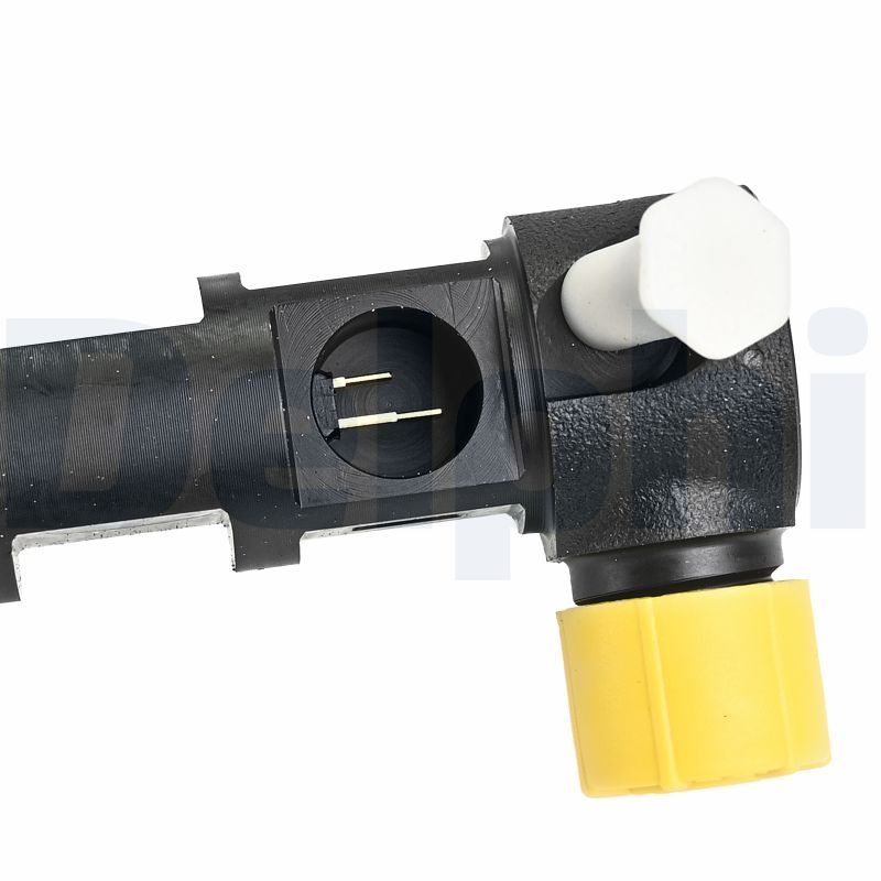 DELPHI R00301D-12B1 Injector