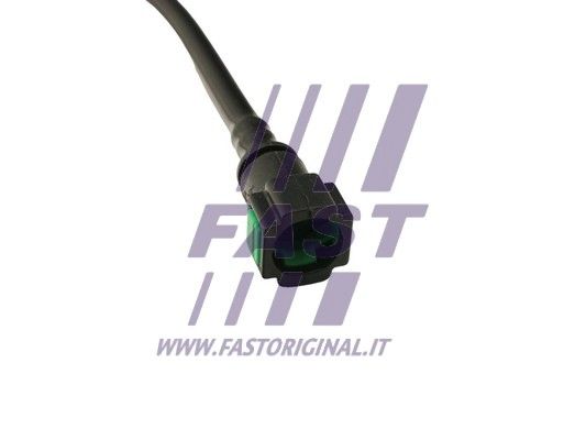 FT39607_3_1.JPG