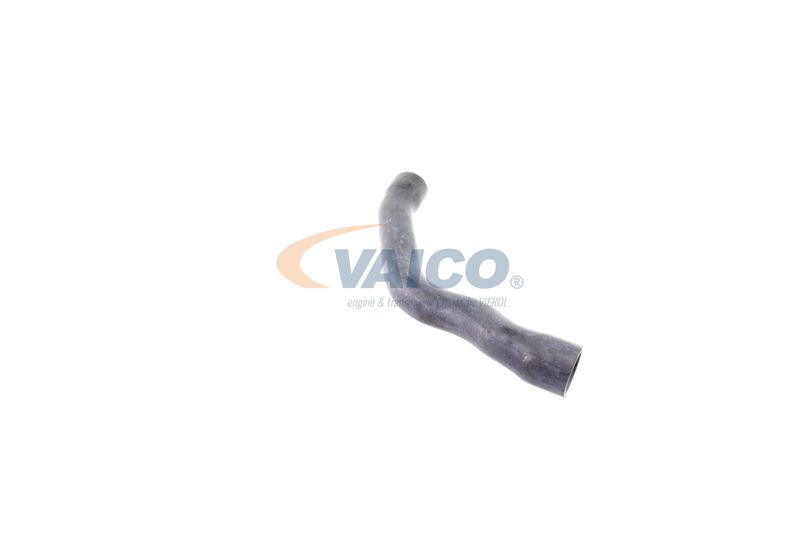VAICO V30-2099 Radiator Hose