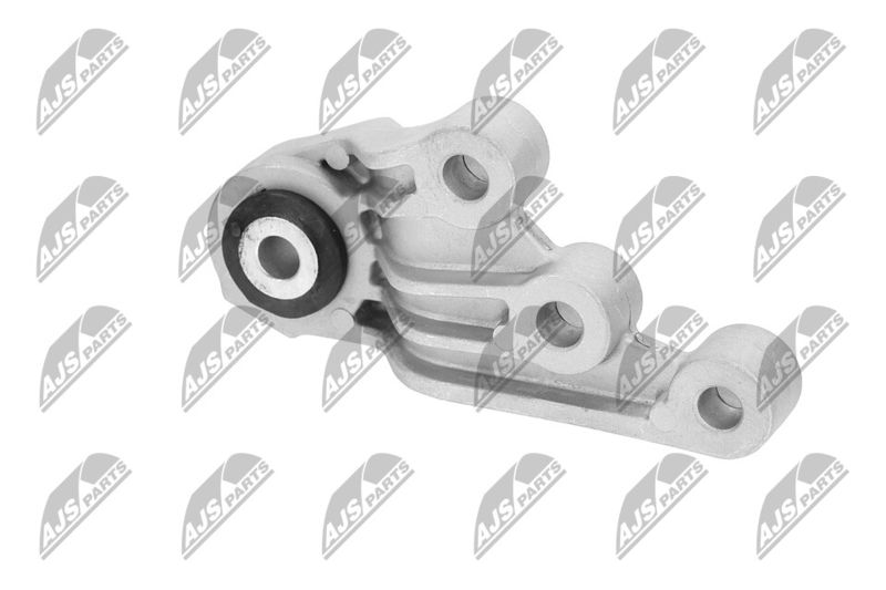 Paigutus, Mootor, NTY ZPS-CH-123