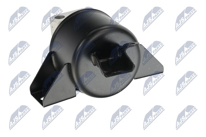 Paigutus, Mootor, NTY ZPS-DW-010