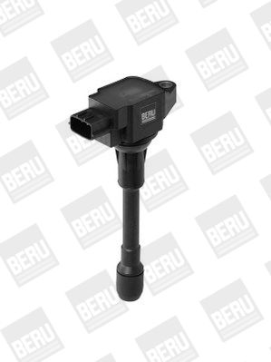 BorgWarner (BERU) ZSE088 Ignition Coil