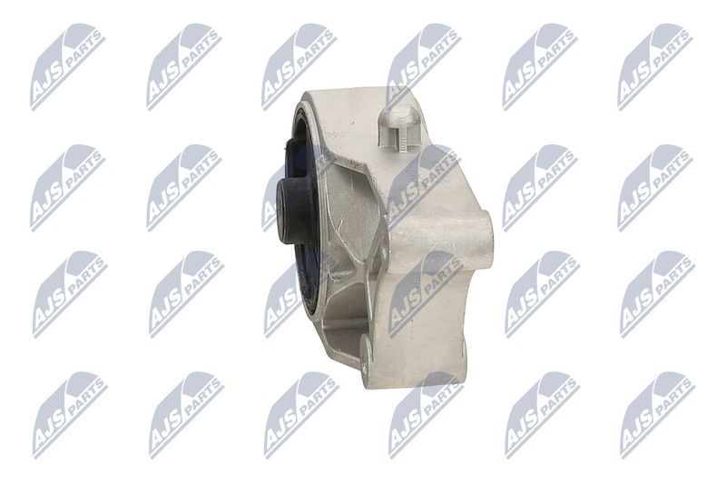 Paigutus, Mootor, NTY ZPS-PL-074