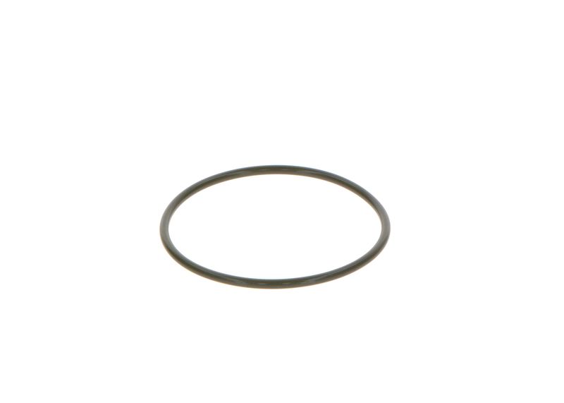 BOSCH 2 469 403 065 Rubber Ring