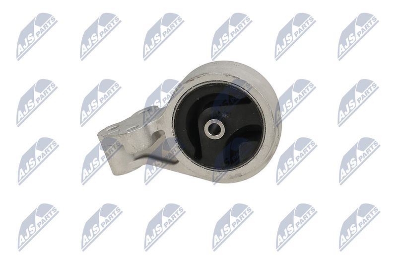 Paigutus, Mootor, NTY ZPS-MS-016