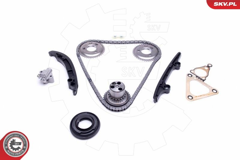 ESEN SKV 21SKV119 Timing Chain Kit