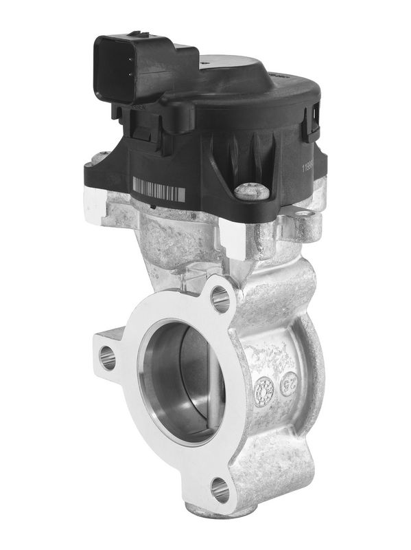 BorgWarner EGR Valve 710980D0