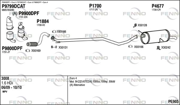 PE905.JPG