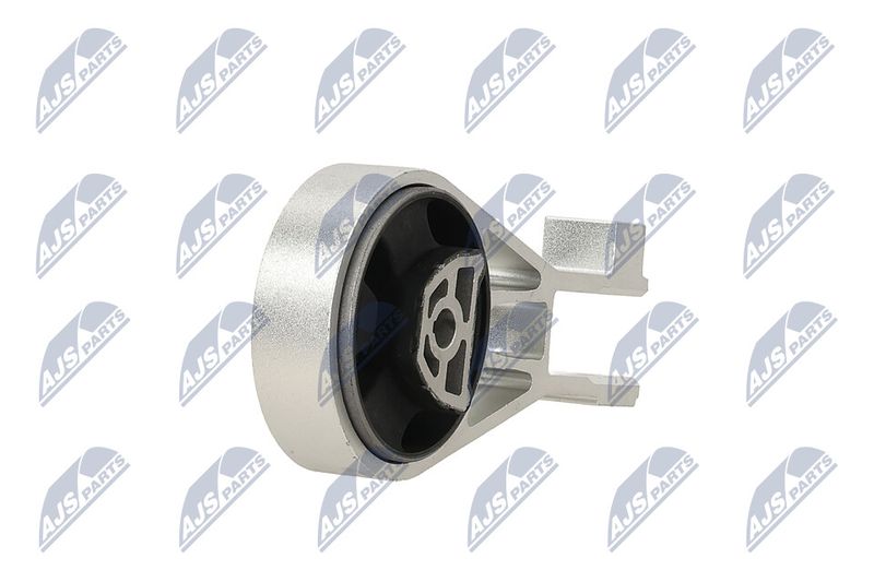 Paigutus, Mootor, NTY ZPS-PL-002