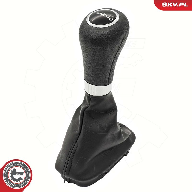 Käigukanginupp, ESEN SKV...