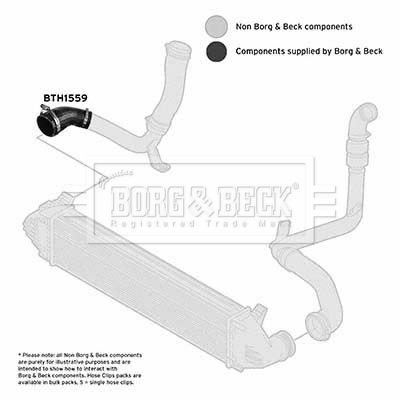 BTH1559_1101876.JPG