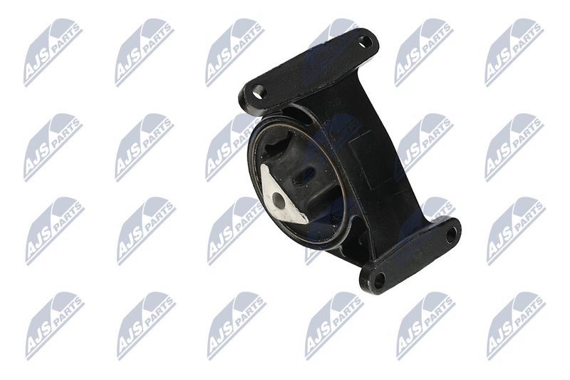 Paigutus, Mootor, NTY ZPS-CH-006