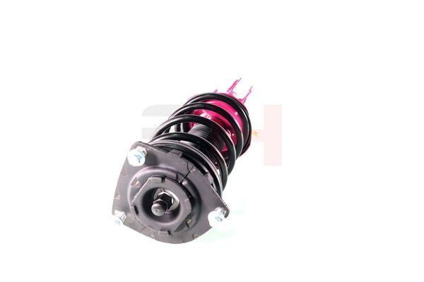 Vedruamort, GH GH-352298C01