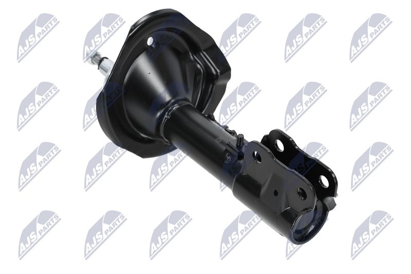Amort, NTY A-MS-015