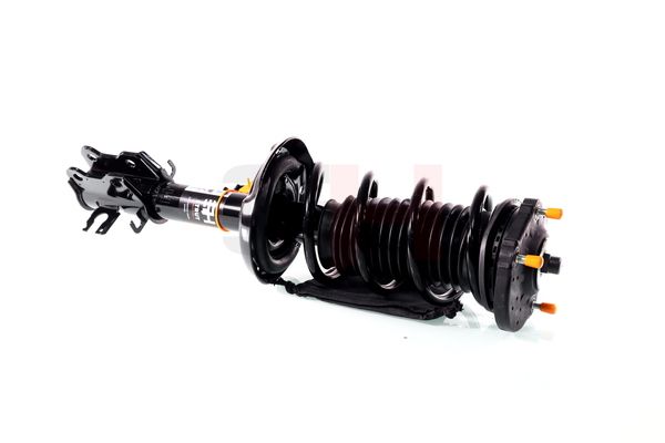 Vedruamort, GH GH-352388C01