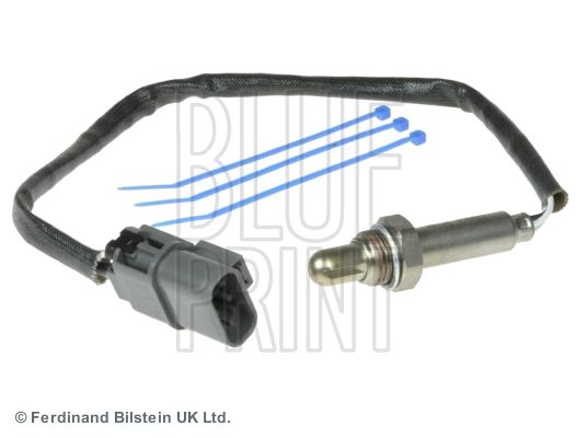 ADN17035_1.JPG
