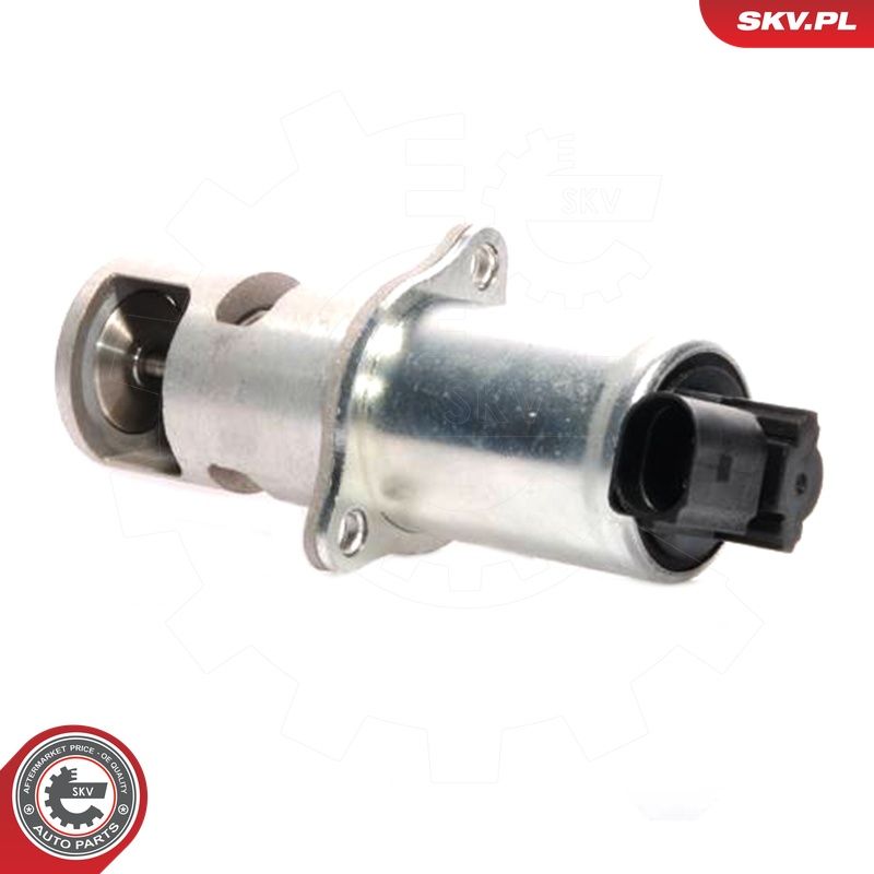 EGR-klapp, ESEN SKV 14SKV021