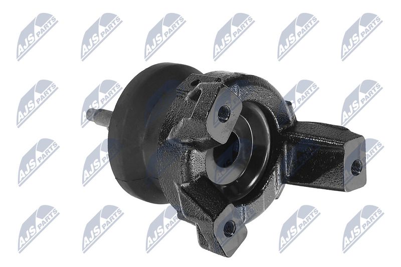 Paigutus, Mootor, NTY ZPS-HY-565